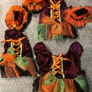 Witch costumes for pet medium